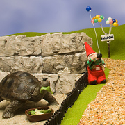 Don't Mock the Croc