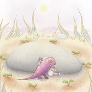 Watering Rocks
