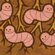 My Friend's Worms