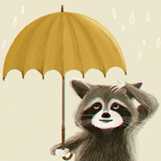 R For Raccoon