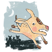 Dog Gone