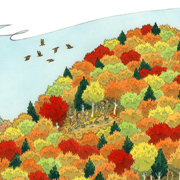 Fall Hike