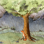 Fox In Rain