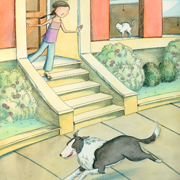 Border Collie