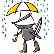 Downpour