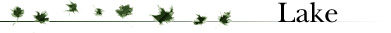Prospect Agency - literary agency clients horizontal banner