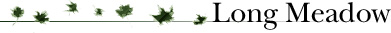 Prospect Agency - literary agency client access horizontal banner - long meadow