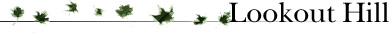 Prospect Agency - literary agency resources - lookout hill
