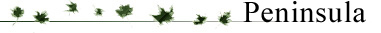 Prospect Agency - literary agency illustrators horizontal banner