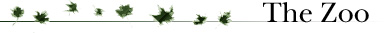Prospect Agency - about the literary agency zoo header
