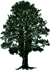 Prospect Agency - literary agency tree logo